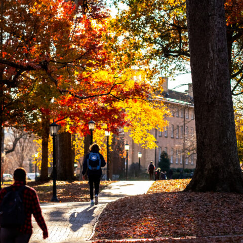 Fall trees on a college campus