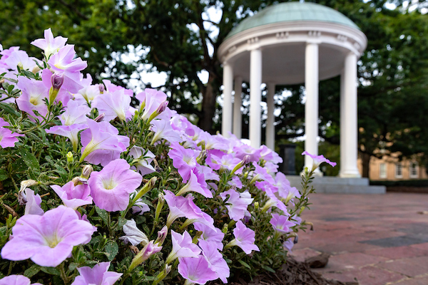Purple flowers surround the Old Well on the UNC-Chapel Hill campus.